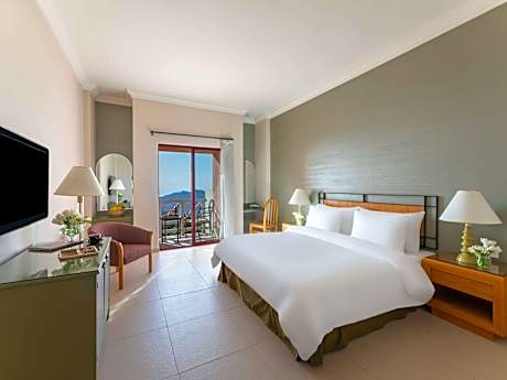 Superior Room with 1 kingsize bed