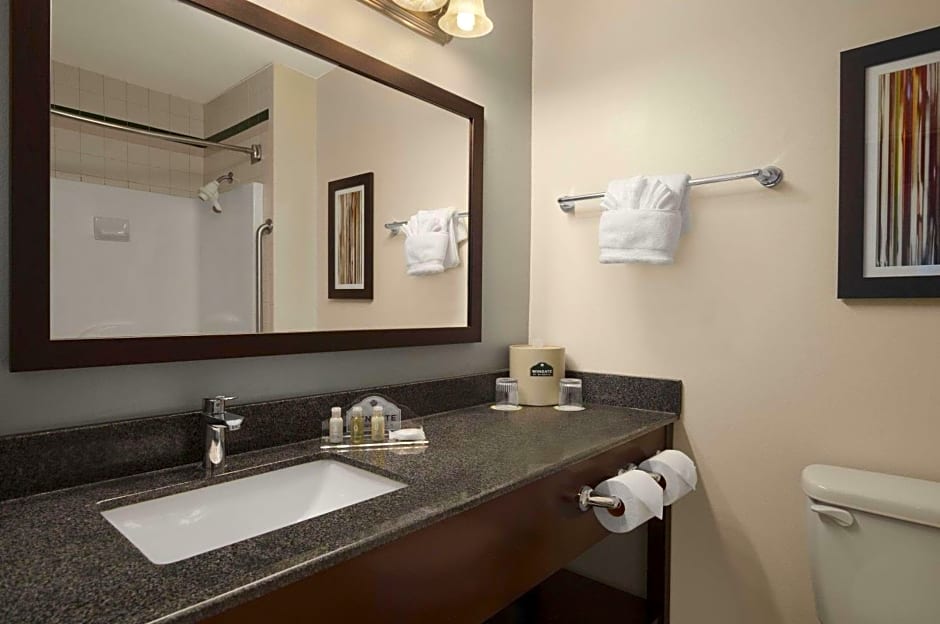 Wingate by Wyndham Round Rock Hotel & Conference Center