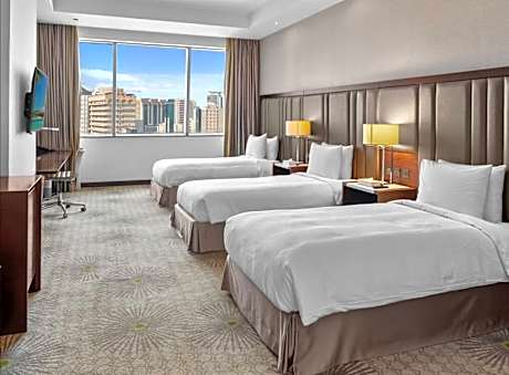 3 Single Standard City View