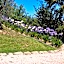 Il Gelso Country House