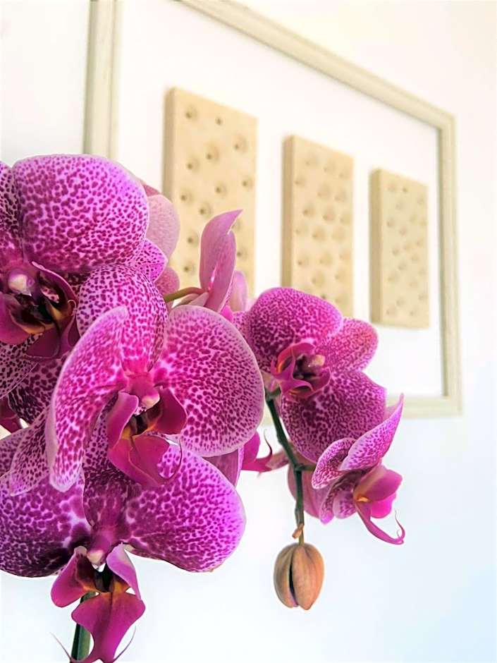 B&B Brezza Salentina