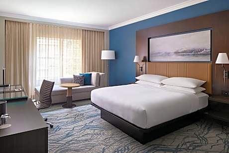 Room, 1 King Bed (Mobility Accessible, Roll-In Shower) (1 King Bed)