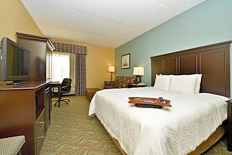 Accessible King Suite with Sofa Bed - Non Smoking