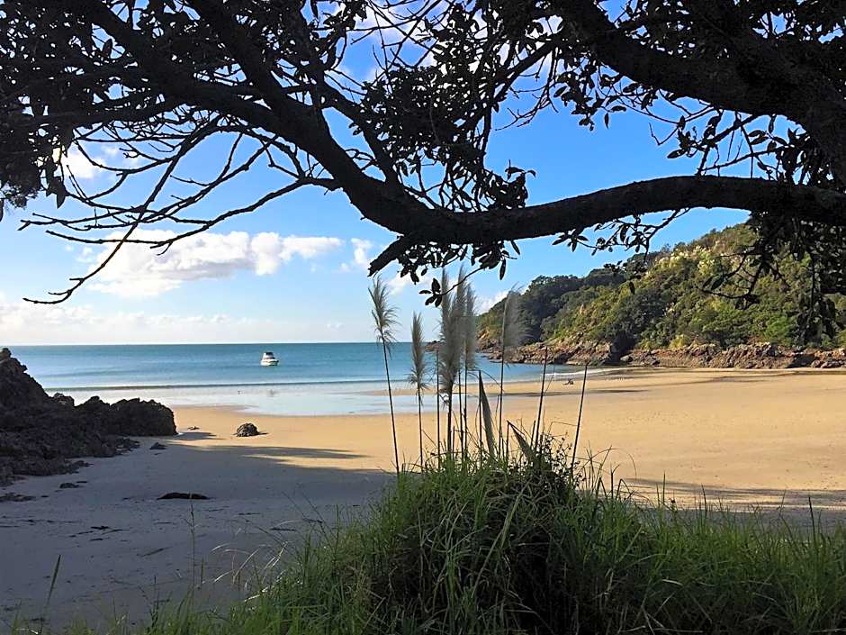 Kiwi House Waiheke