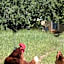 Agroturismo Na Set Centes - Adults Only