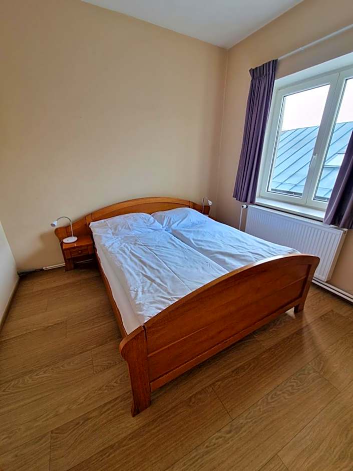 Hotel U Labutě
