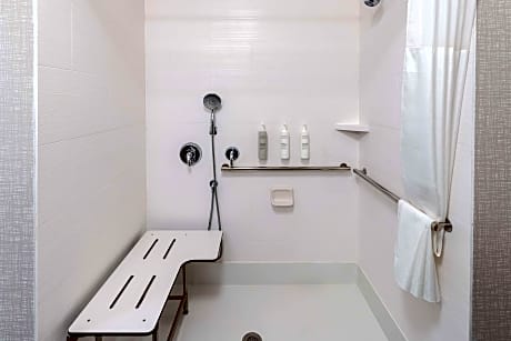 1 King Mobility Accessible Roll-In Shower