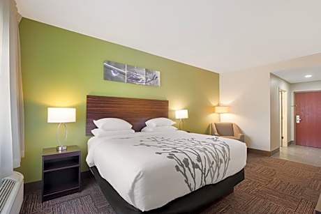 King Room - Accessible/Non Smoking