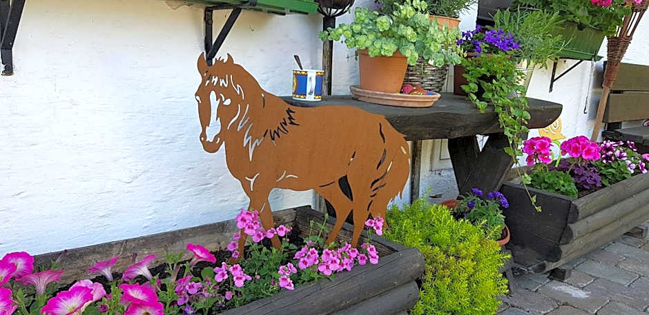 Der Blankhof "Back to Roots"