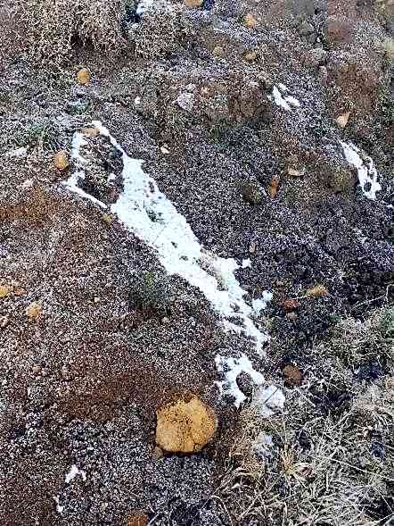 Pousada Chales Aconchego Serrano