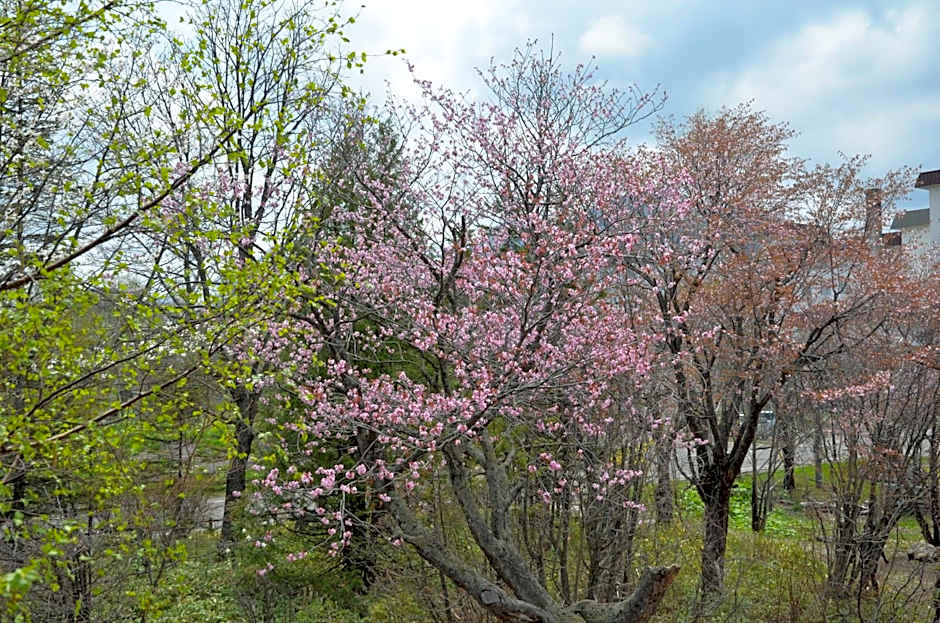 ARtINn 極寒藝術伝染装置