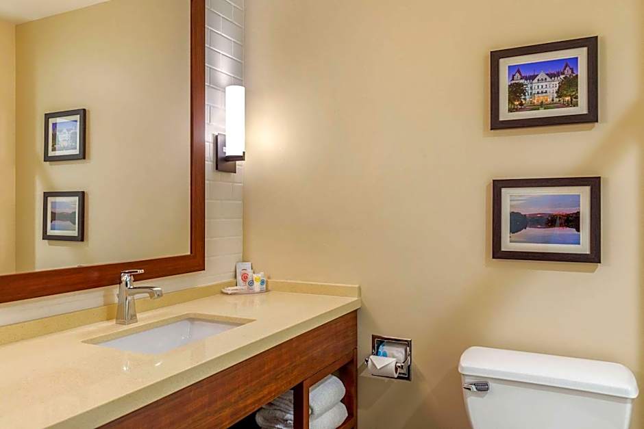 Comfort Inn & Suites Schenectady - Scotia
