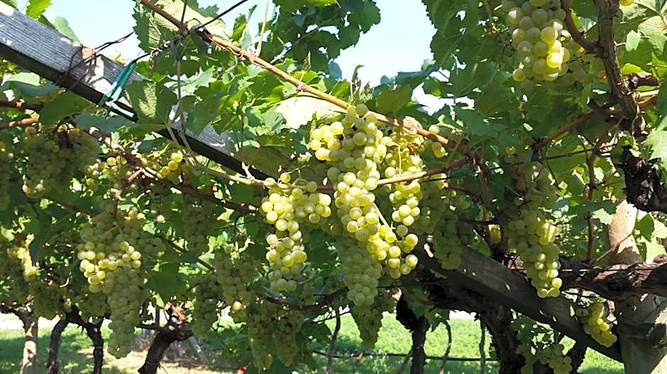 Residence La Colombera