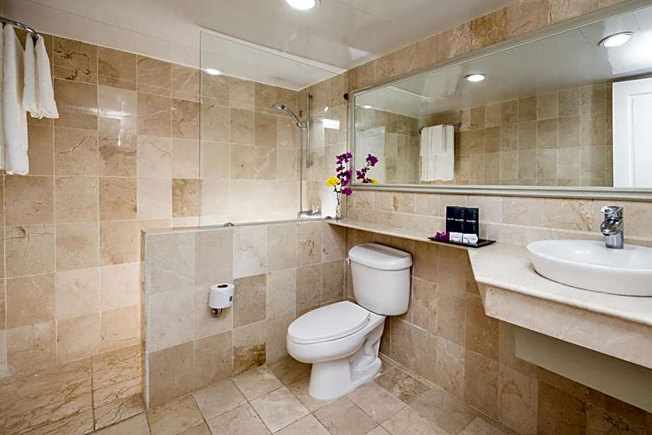 BlueBay Villas Doradas Adults Only-All Inclusive