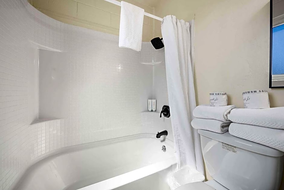 Econo Lodge Inn & Suites Heavenly Village Area