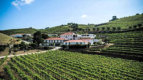 Casal dos Capelinhos - Douro