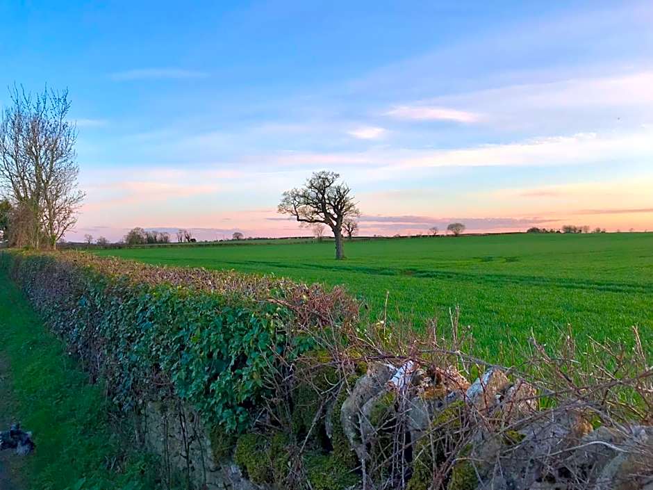 The Queen Matilda Country Rooms