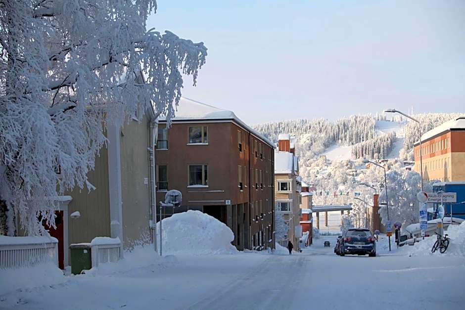 Prästgatanett Apartments