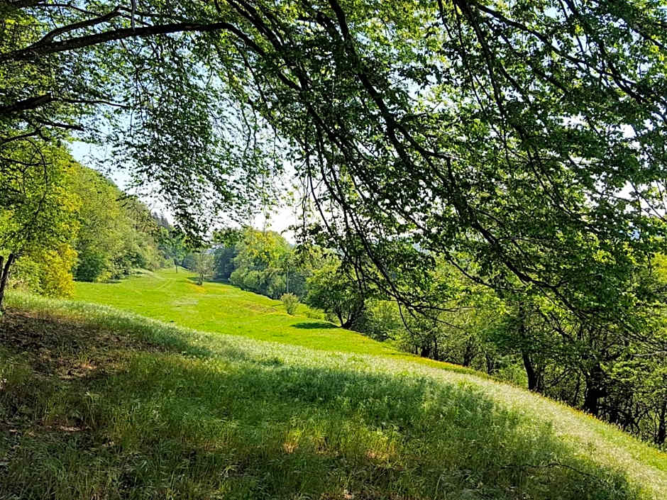 Sunhill Appartments, klimatisiert