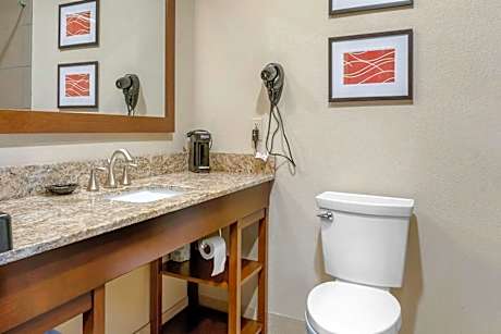 Deluxe King Suite - Non-Smoking