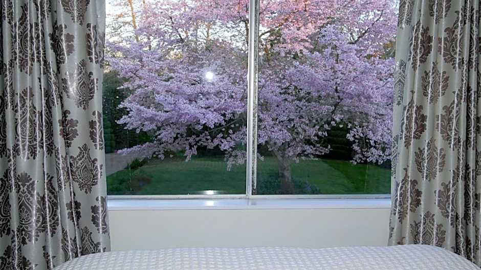 English Cherry Tree Manor