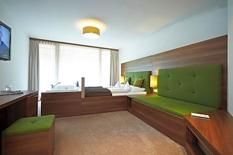 Double Room with Mountain View