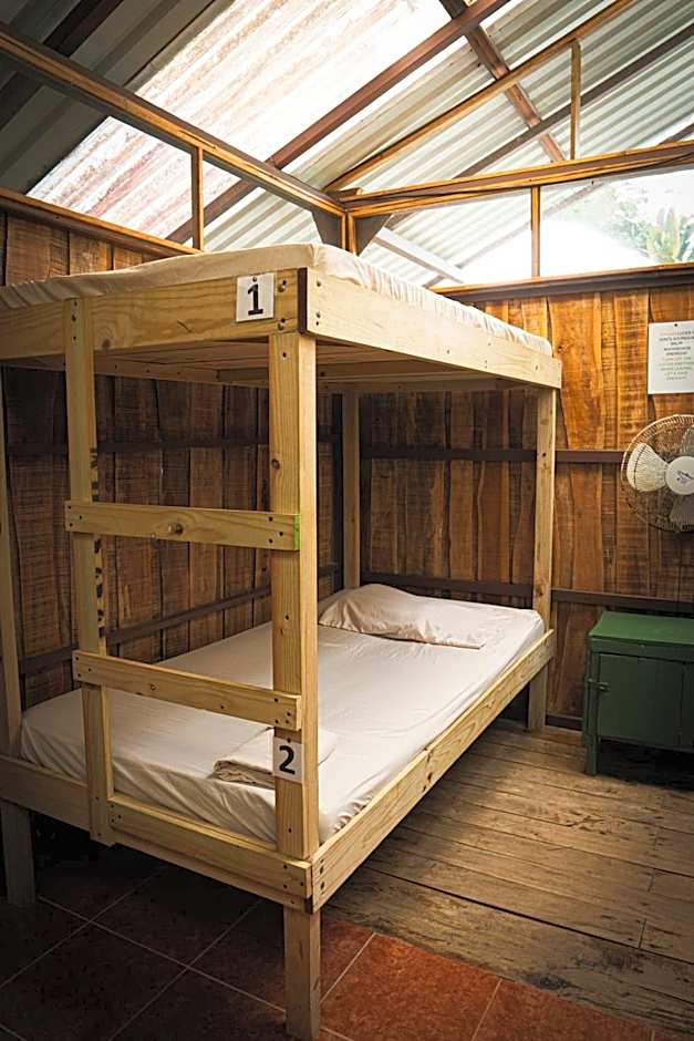 Flutterby House Hostel