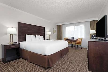 1 King Bed Mobility Accessible Room Roll-In Shower Non-Smoking