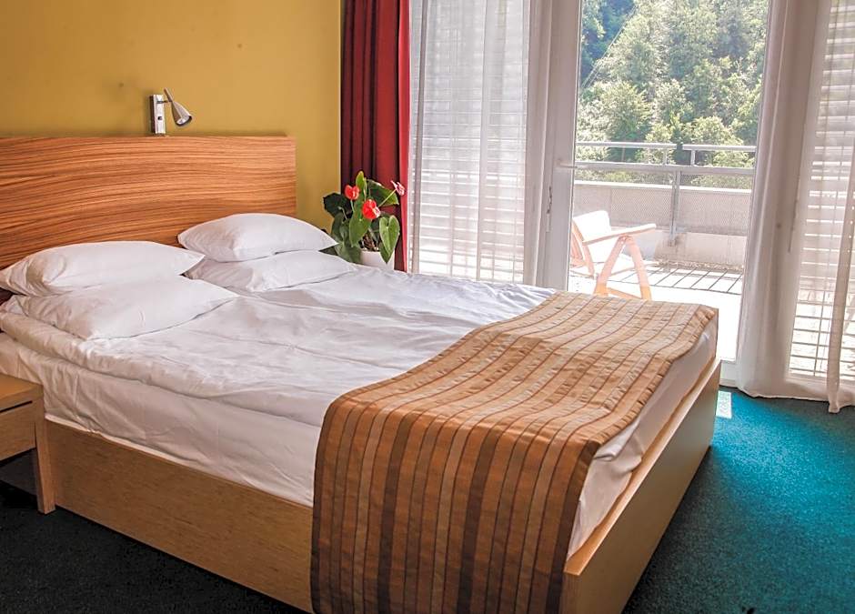Hotel Veter