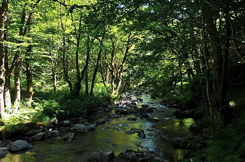 Auberge De La Providence