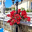 Solaris Apartment Kassiopi