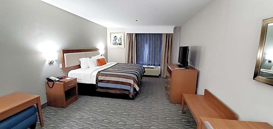 Spark by Hilton Tupelo