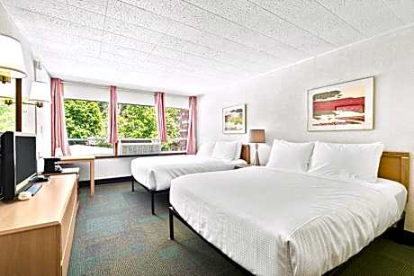 Superior Two Queen Room