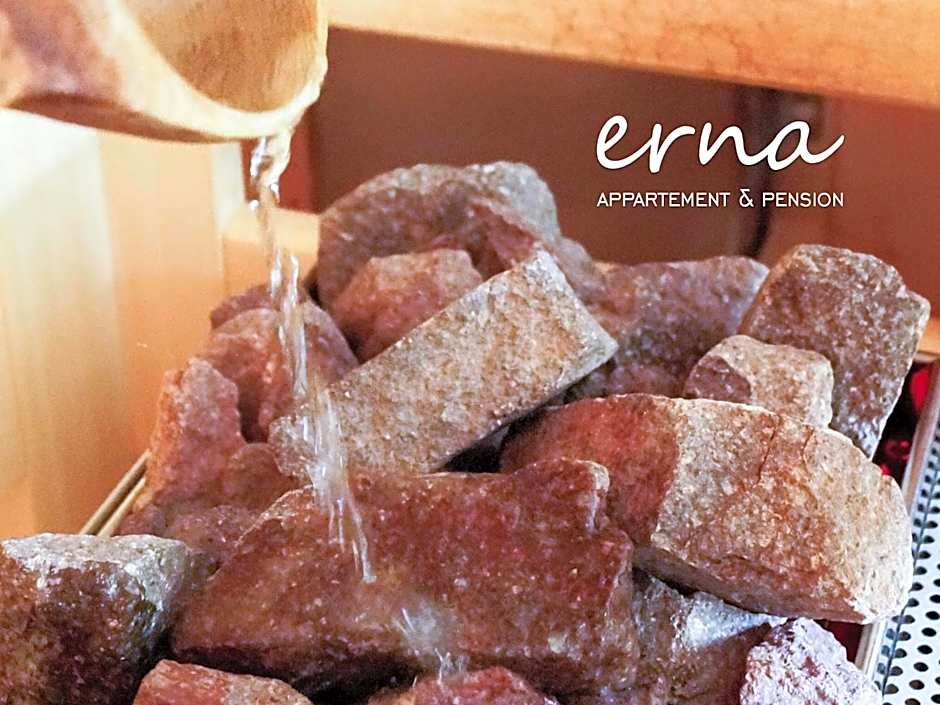 Pension Apartment Erna