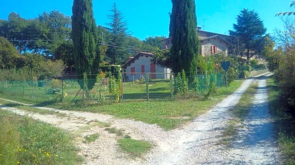 Tana Del Tasso