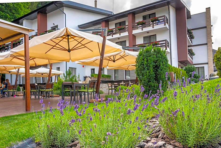 Piatra Pinului Ski & Spa