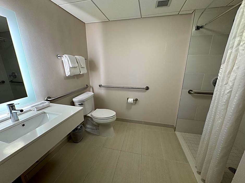 Holiday Inn Express & Suites - Atlanta Downtown By IHG