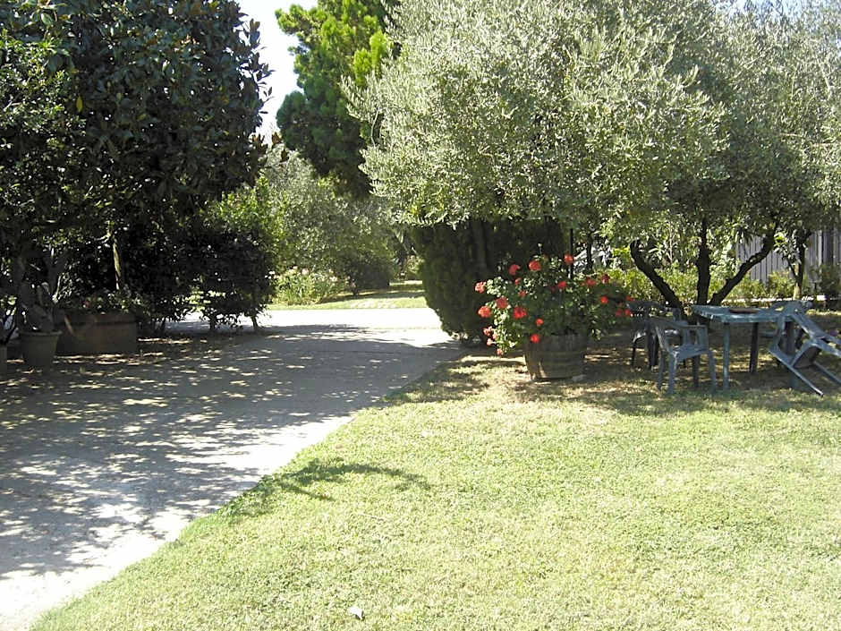 Il Boschetto