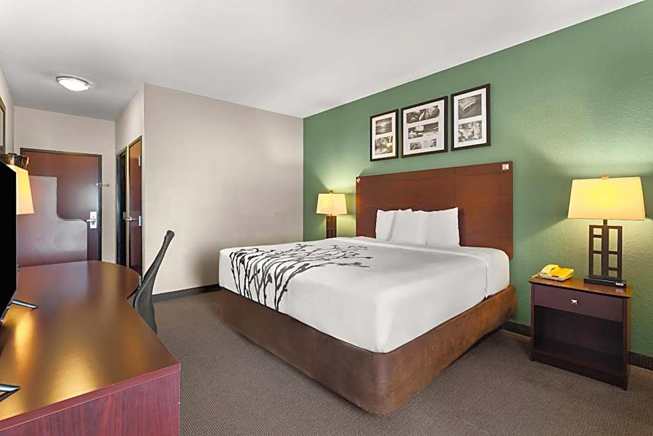 Sleep Inn & Suites Bush Intercontinental - IAH East