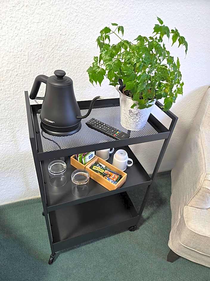 Parkhotel Bad Brambach