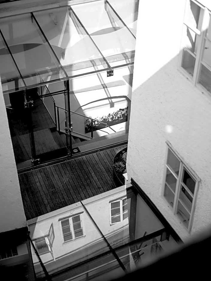 Arthotel Blaue Gans
