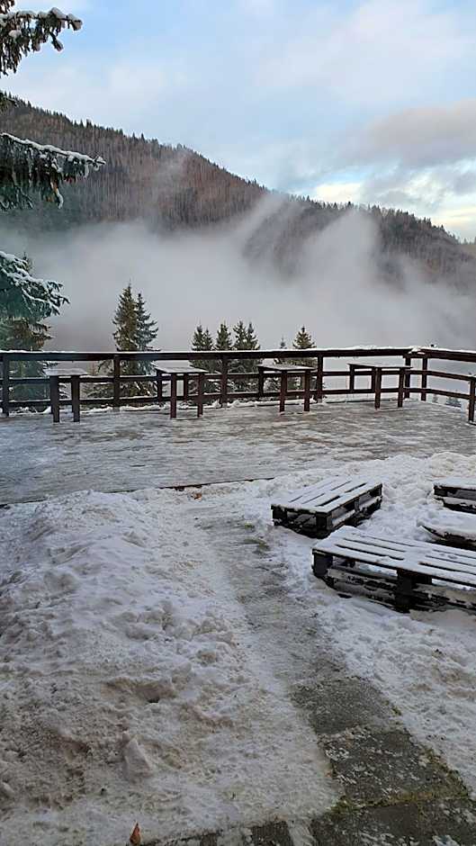 Cabana "Trei Brazi " Retezat