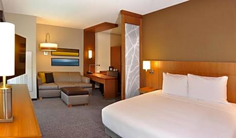 Specialty King Room with Sofa Bed