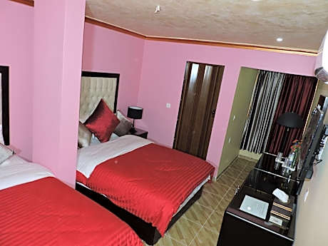 Superior Twin Room with City View