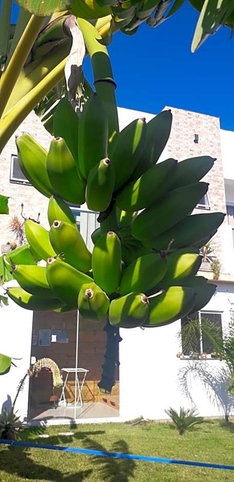 Pousada Beach Eco House Floripa Com Ar Condicionado