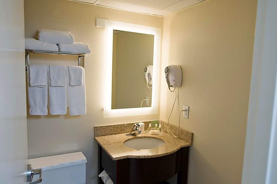 Holiday Inn Birmingham Airport By IHG