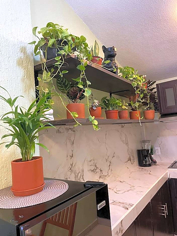 Departamento en Zona Dorada