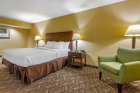 One Bedroom King Suite- Non Smoking