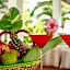 Shooting Star Boutique Hotel