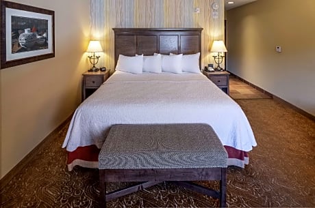 1 King Bed Nonsmoking